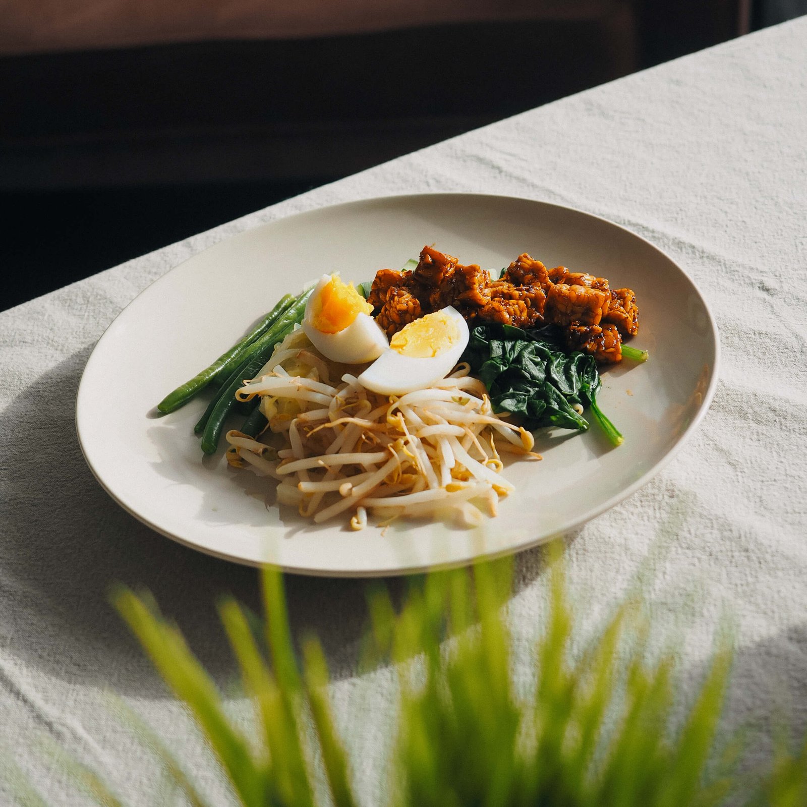 Fresh healthy meal with egg